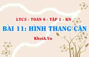 Dấu hiệu nhận biết hình thang cân, tính chất khái niệm hình thang cân? Toán 8 bài 11 kn1c3b11